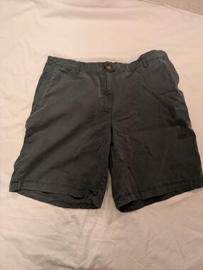 J. Jill Green Shorts 18
